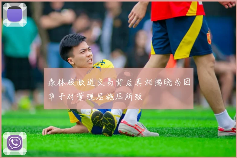 森林狼激进交易背后真相揭晓或因华子对管理层施压所致